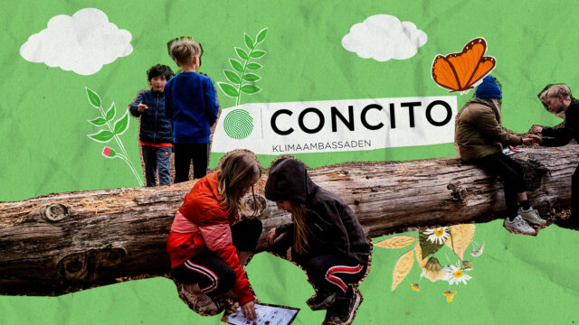 Lyt, føl og leg i naturen – Concito's Klimaambassade
