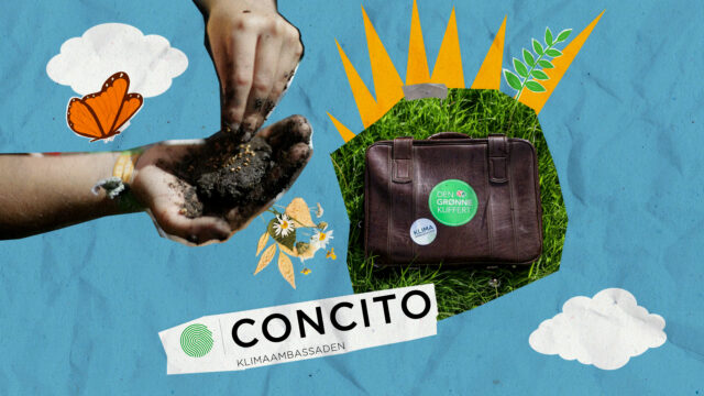 Frøbomber og biodiversitet i hænderne – Concito's Klimaambassade
