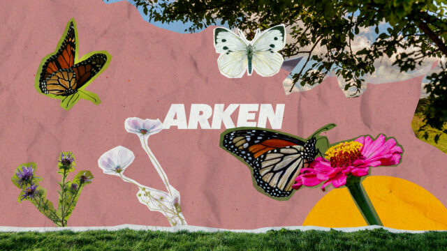Familiefilm & workshop på ARKEN – Lav din egen summerfuglebuddy